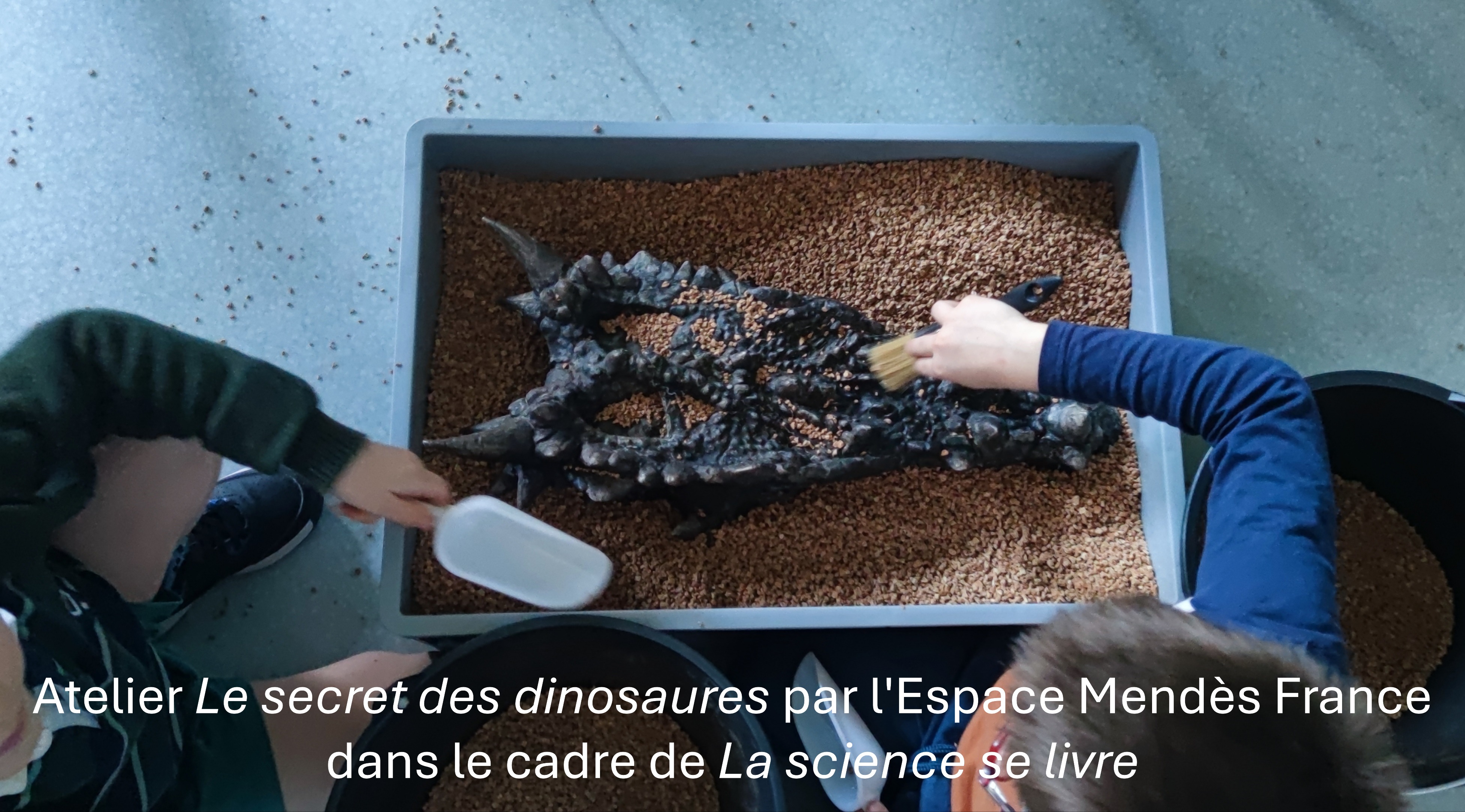 Atelier Le secret des dinoasures par lEspace Mendes France dans le cadre de La science se livre 25-02-2026.jpg